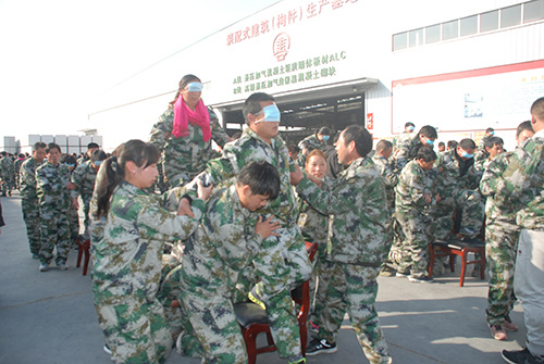 偃师市华泰综合利用建材有限公司