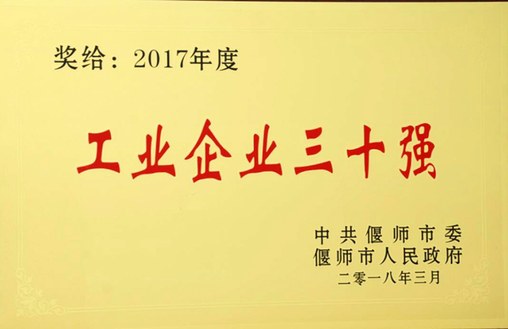 2018 市委工业三十强