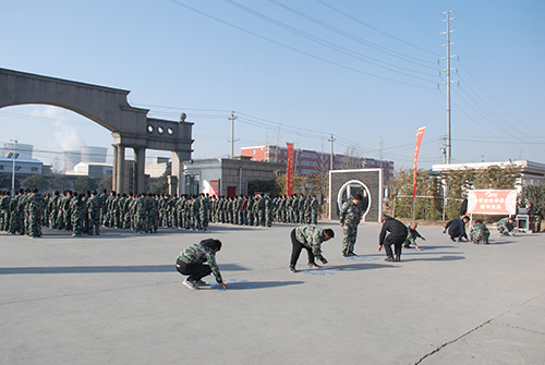 偃师市华泰综合利用建材有限公司